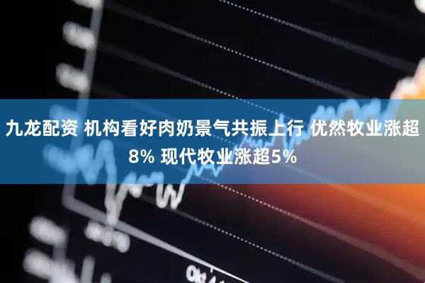 九龙配资 机构看好肉奶景气共振上行 优然牧业涨超8% 现代牧业涨超5%